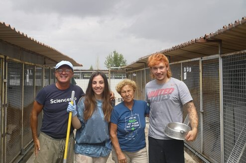 Volunteers at work in the shelter